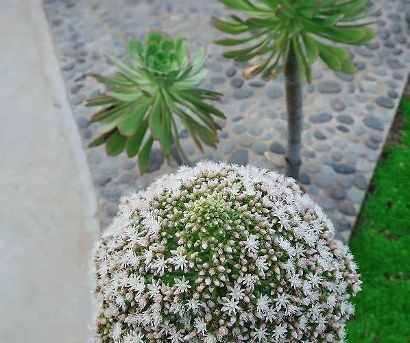 El Susurro Ecoliving_villa Pardela *